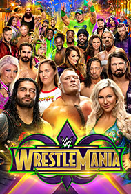 2018-03-23 wrestlemania