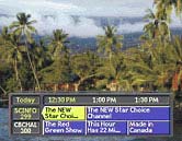 Shaw Direct Channel 299 with the Mini-Guide
