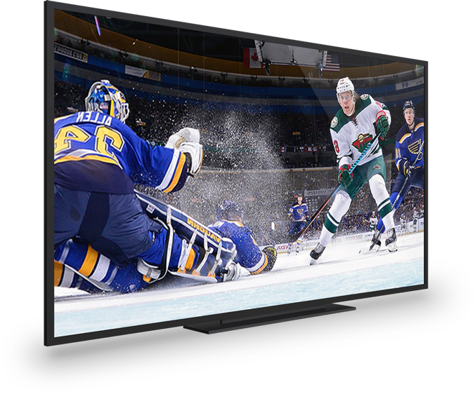 hockey being played on a tv