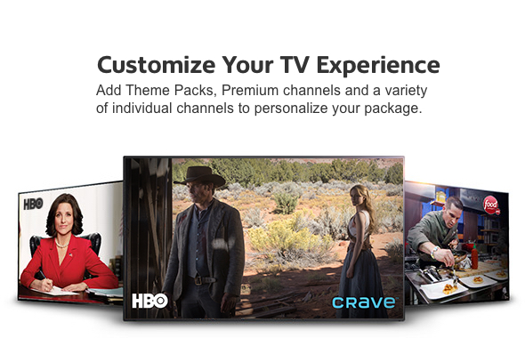 2017-04-07 Shaw Direct Programming Banner