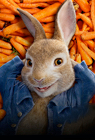 Peter Rabbit Peter Rabbit