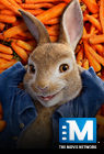 Peter Rabbit Peter Rabbit