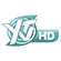 logo ytv_hd