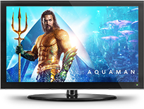 Premium Movies and TV-Cloudy with a chance of meatballs 2